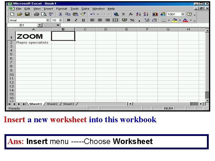 Insert a new worksheet into this workbook Ans: Insert menu -----Choose Worksheet 