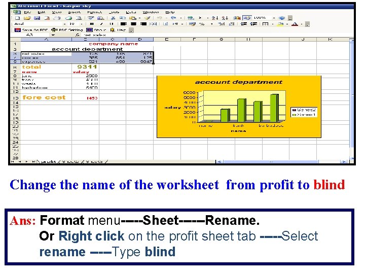 Change the name of the worksheet from profit to blind Ans: Format menu-----Sheet------Rename. Or