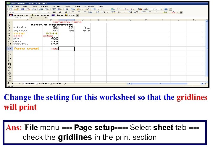 Change the setting for this worksheet so that the gridlines will print Ans: File