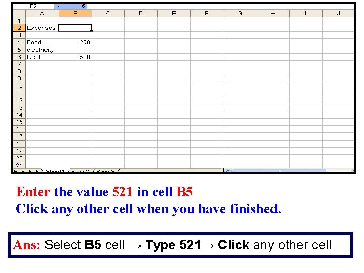 Enter the value 521 in cell B 5 Click any other cell when you