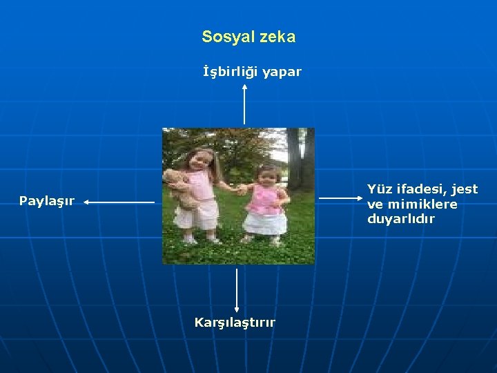 Sosyal zeka İşbirliği yapar Yüz ifadesi, jest ve mimiklere duyarlıdır Paylaşır Karşılaştırır 