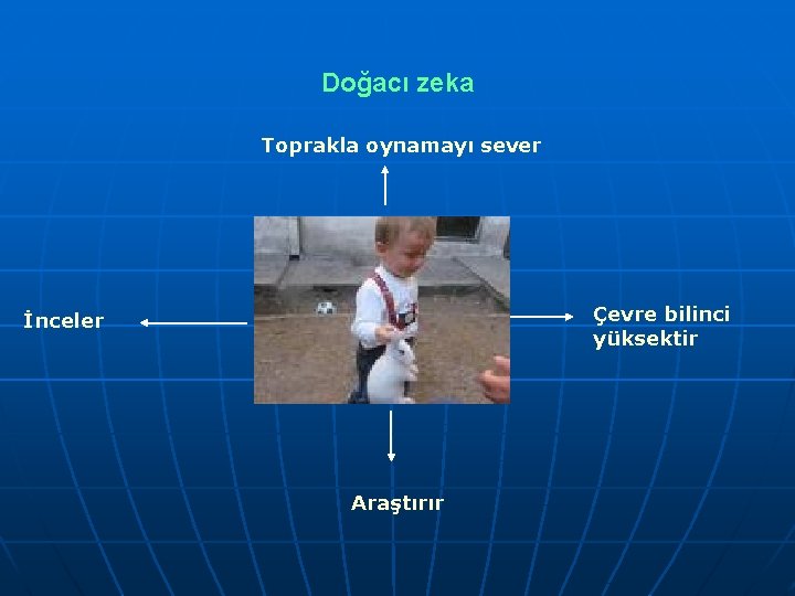 Doğacı zeka Toprakla oynamayı sever Çevre bilinci yüksektir İnceler Araştırır 