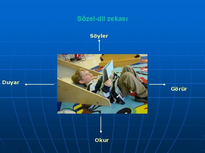 Sözel-dil zekası Söyler Duyar Görür Okur 