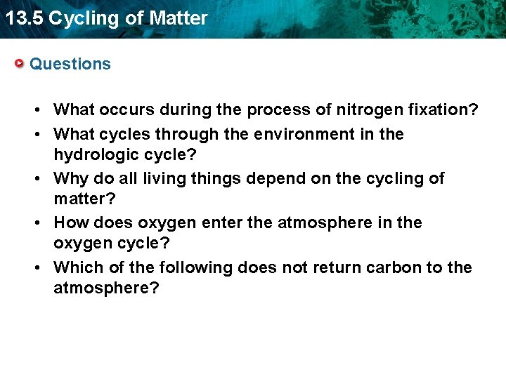 13. 5 Cycling of Matter Questions • What occurs during the process of nitrogen