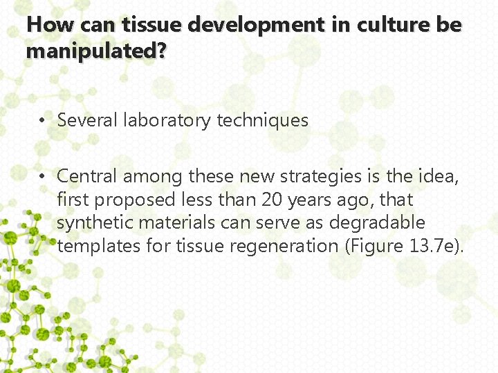 How can tissue development in culture be manipulated? • Several laboratory techniques • Central