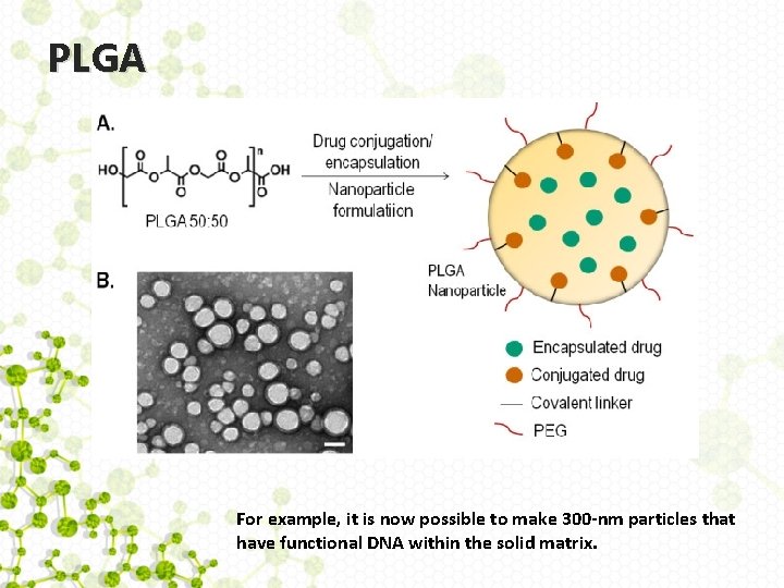 PLGA For example, it is now possible to make 300 -nm particles that have