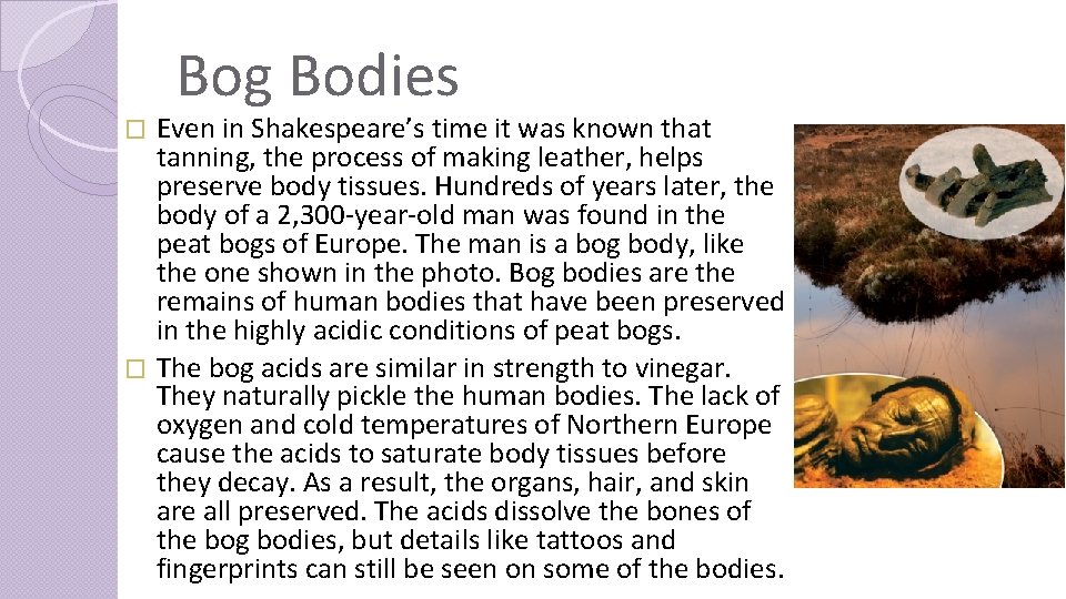 Bog Bodies Even in Shakespeare’s time it was known that tanning, the process of
