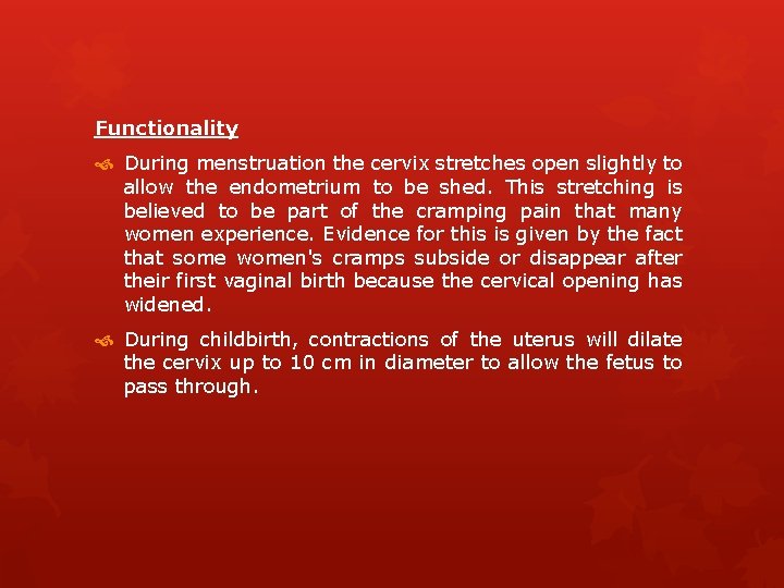 Functionality During menstruation the cervix stretches open slightly to allow the endometrium to be