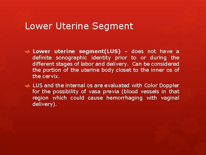 Lower Uterine Segment Lower uterine segment(LUS) – does not have a definite sonographic identity