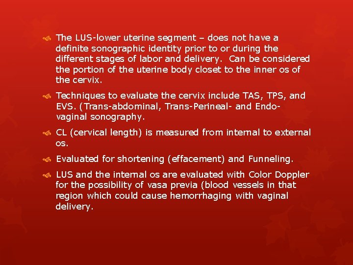  The LUS-lower uterine segment – does not have a definite sonographic identity prior