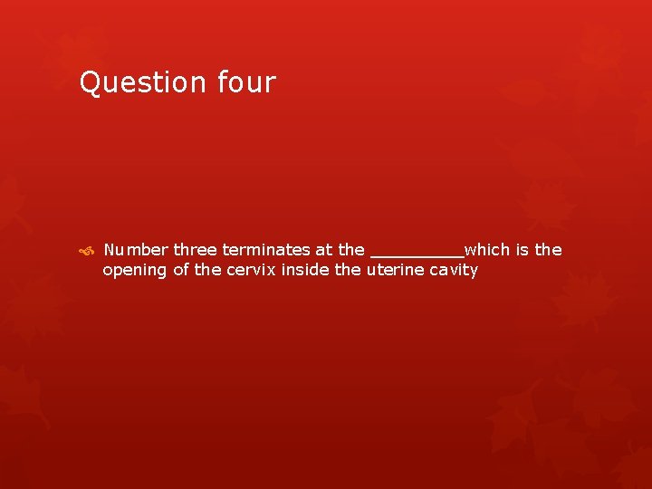 Question four Number three terminates at the _____which is the opening of the cervix