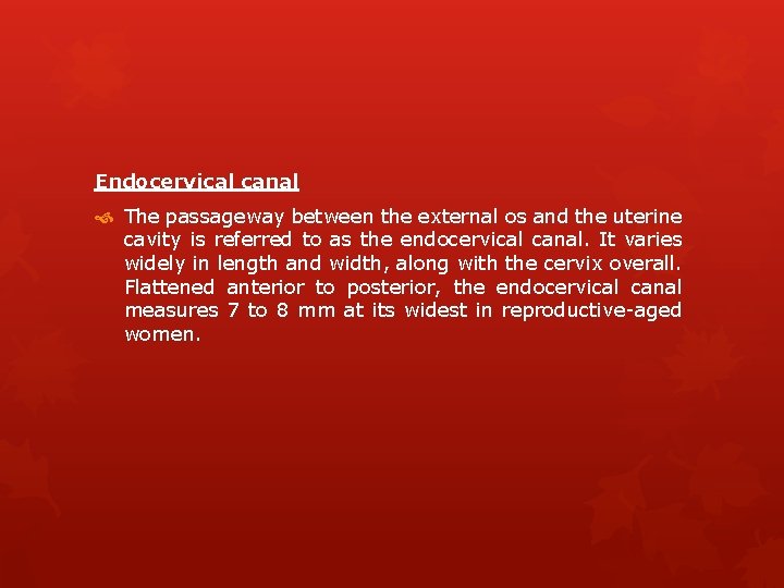 Endocervical canal The passageway between the external os and the uterine cavity is referred