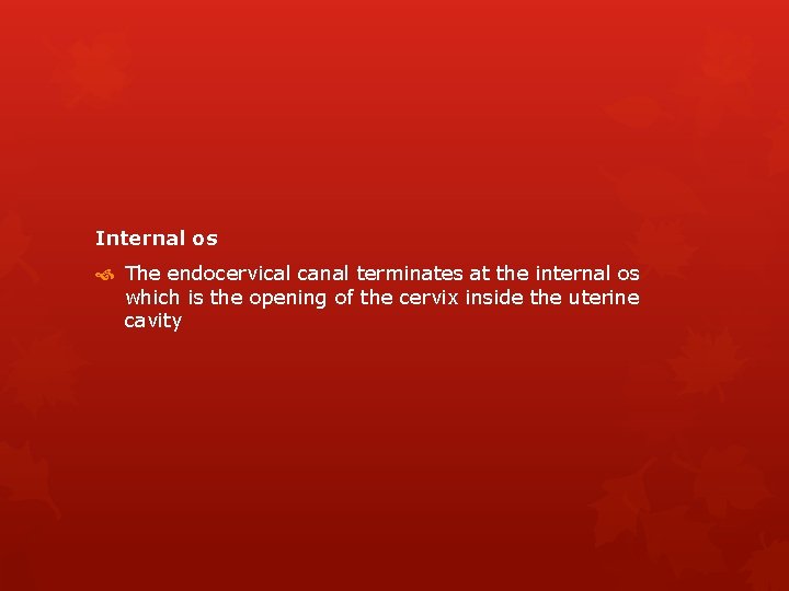 Internal os The endocervical canal terminates at the internal os which is the opening