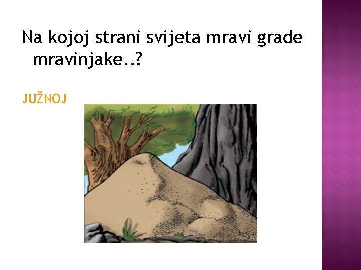 Na kojoj strani svijeta mravi grade mravinjake. . ? JUŽNOJ 