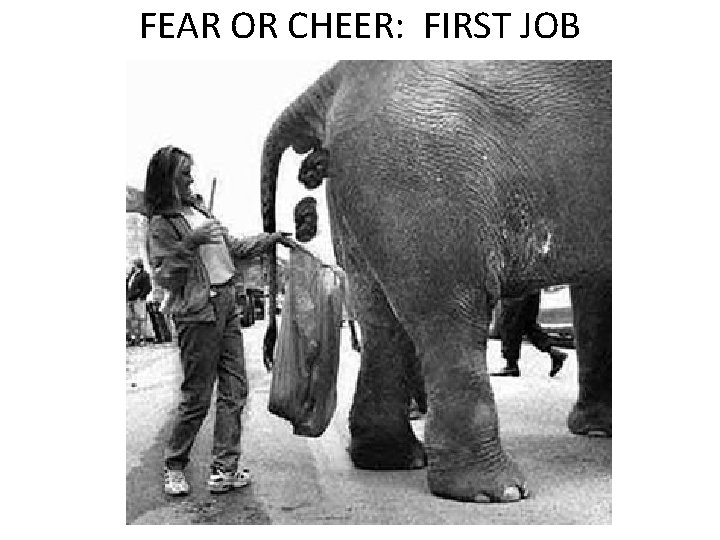FEAR OR CHEER: FIRST JOB 