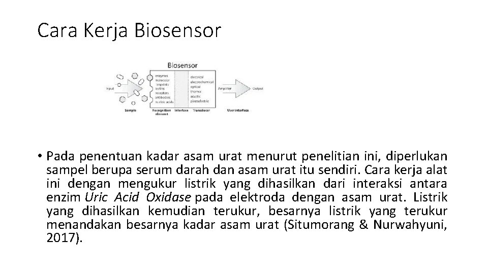 Cara Kerja Biosensor • Pada penentuan kadar asam urat menurut penelitian ini, diperlukan sampel