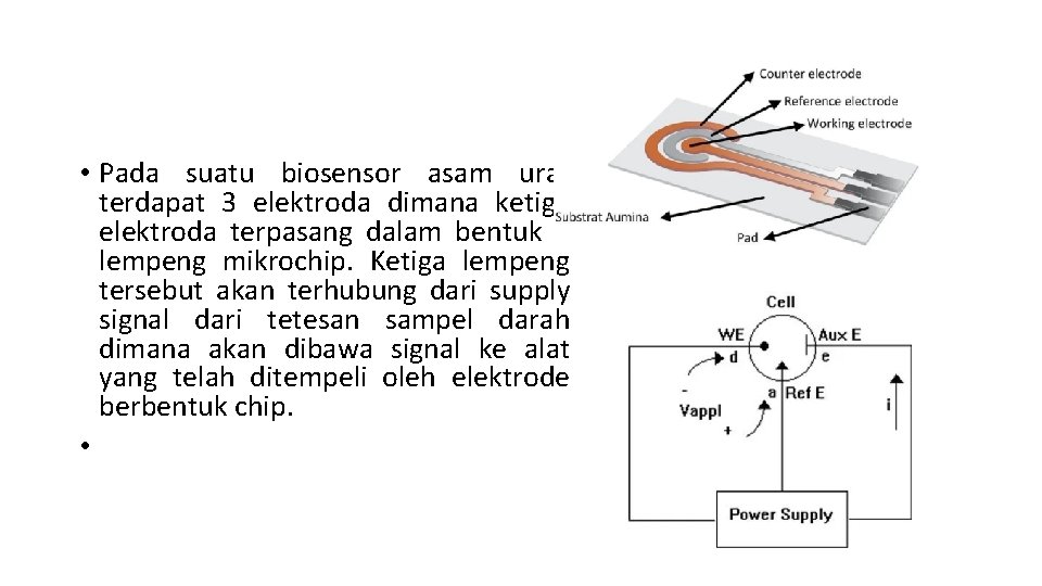  • Pada suatu biosensor asam urat terdapat 3 elektroda dimana ketiga elektroda terpasang
