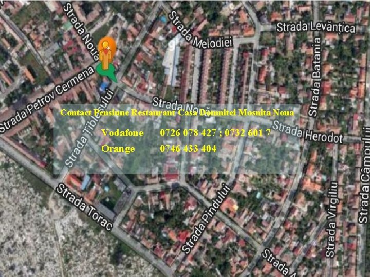 Contact Pensiune Restaurant Casa Domnitei Mosnita Noua Vodafone 0726 078 427 ; 0732 601 Contact Pensiune Restaurant Casa Domnitei Mosnita Noua Vodafone 0726 078 427 ; 0732 601
