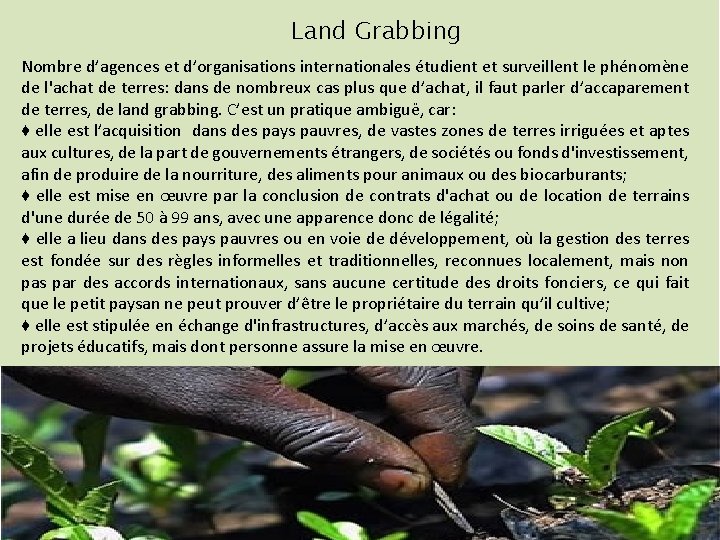 Land Grabbing Nombre d’agences et d’organisations internationales étudient et surveillent le phénomène de l'achat