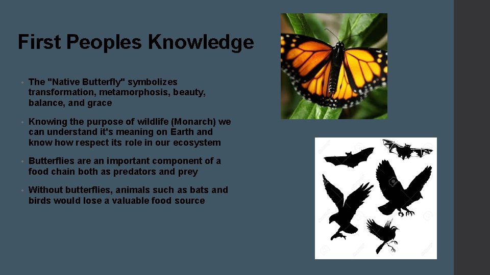 First Peoples Knowledge • The "Native Butterfly" symbolizes transformation, metamorphosis, beauty, balance, and grace