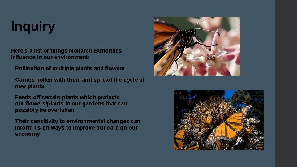 Inquiry Here's a list of things Monarch Butterflies influence in our environment: • Pollination