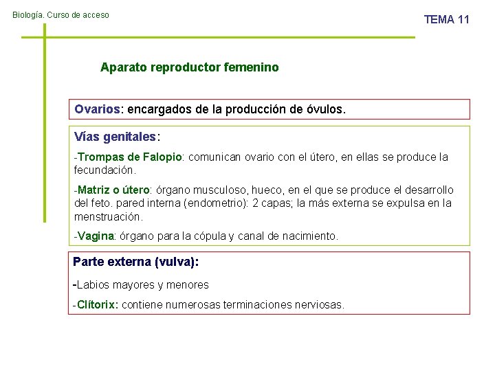 Biología. Curso de acceso TEMA 11 Aparato reproductor femenino Ovarios: encargados de la producción