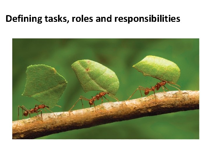 Defining tasks, roles and responsibilities 