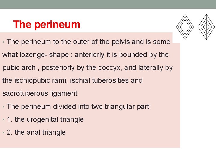 The perineum • The perineum to the outer of the pelvis and is some