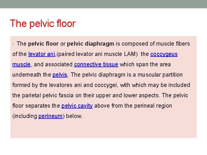 The pelvic floor • The pelvic floor or pelvic diaphragm is composed of muscle