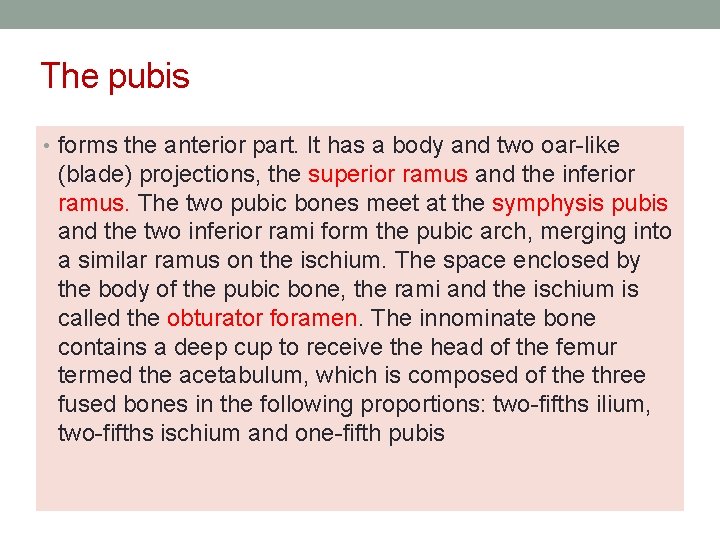 The pubis • forms the anterior part. It has a body and two oar-like