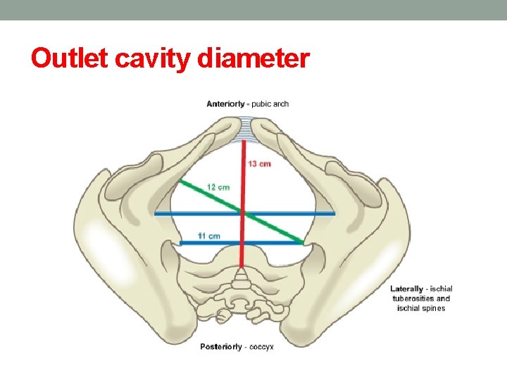 Outlet cavity diameter 