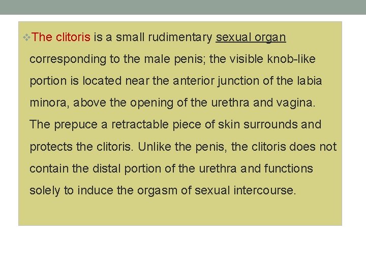 v. The clitoris is a small rudimentary sexual organ corresponding to the male penis;