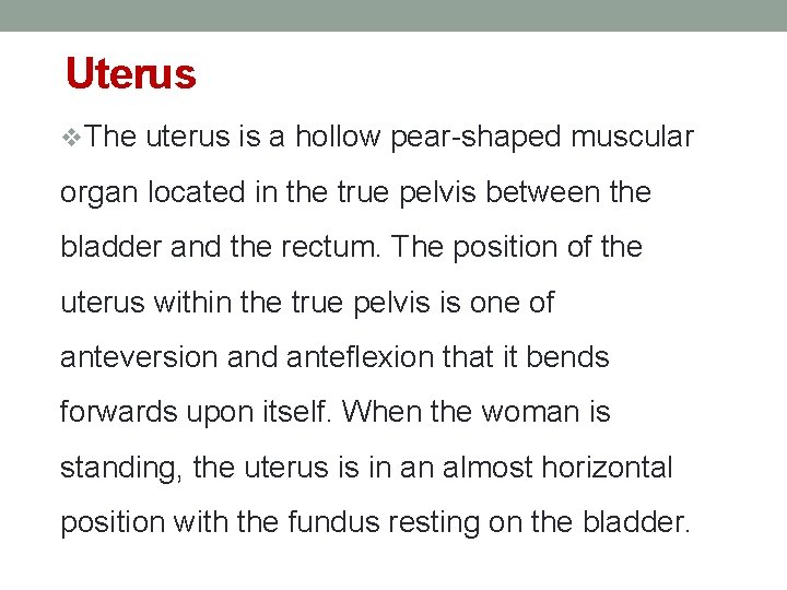 Uterus v. The uterus is a hollow pear-shaped muscular organ located in the true