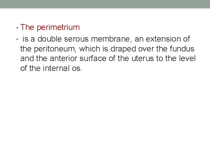  • The perimetrium • is a double serous membrane, an extension of the