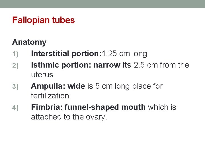 Fallopian tubes Anatomy 1) Interstitial portion: 1. 25 cm long 2) Isthmic portion: narrow