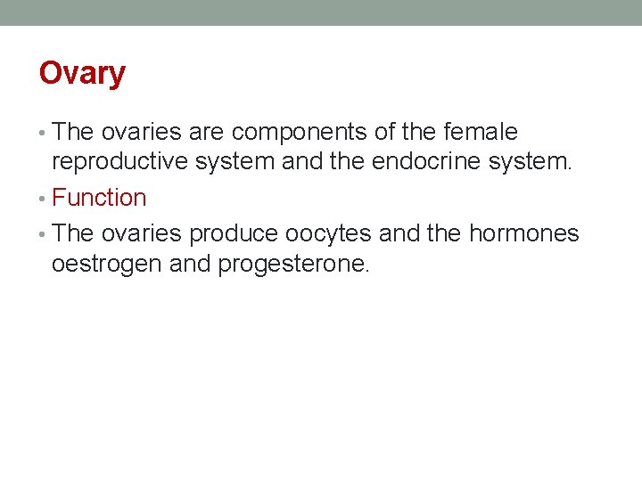 Ovary • The ovaries are components of the female reproductive system and the endocrine