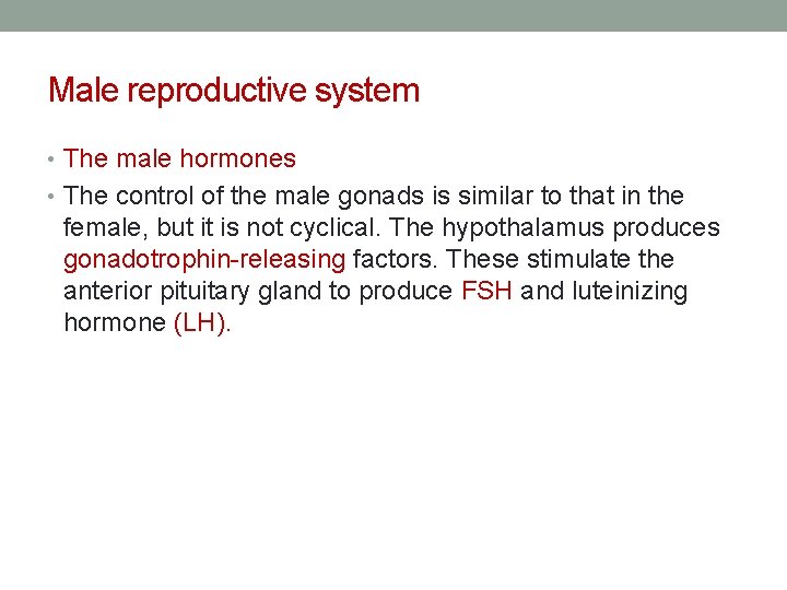 Male reproductive system • The male hormones • The control of the male gonads