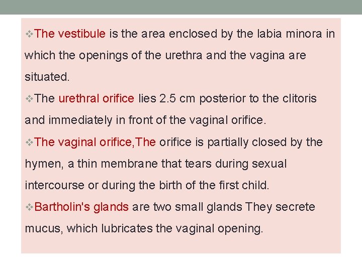 v. The vestibule is the area enclosed by the labia minora in which the