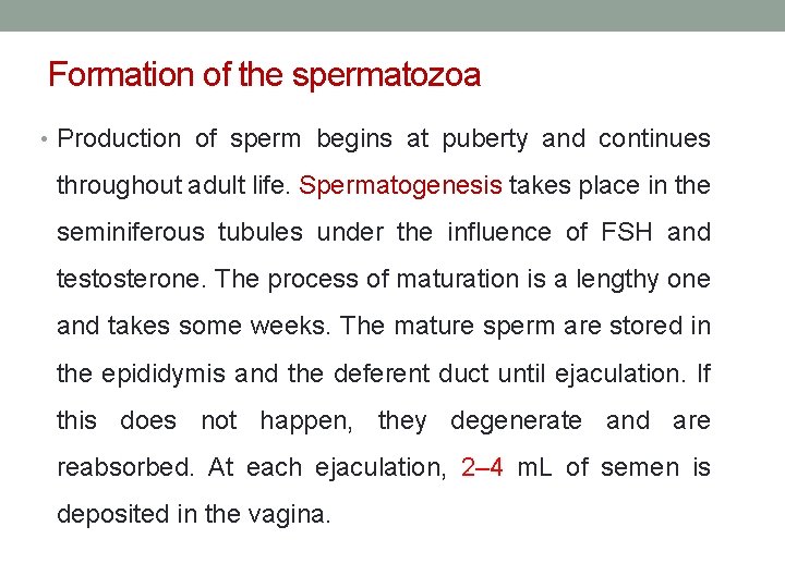 Formation of the spermatozoa • Production of sperm begins at puberty and continues throughout