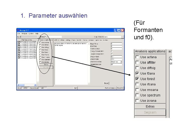 1. Parameter auswählen (Für Formanten und f 0). 