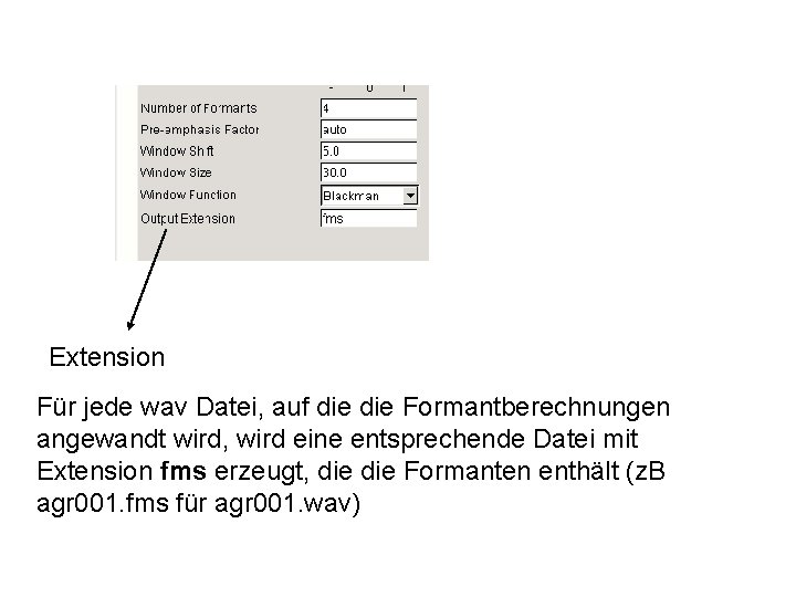 Extension Für jede wav Datei, auf die Formantberechnungen angewandt wird, wird eine entsprechende Datei