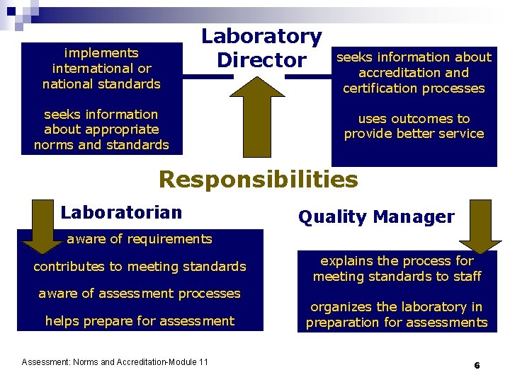 implements international or national standards Laboratory Director seeks information about appropriate norms and standards