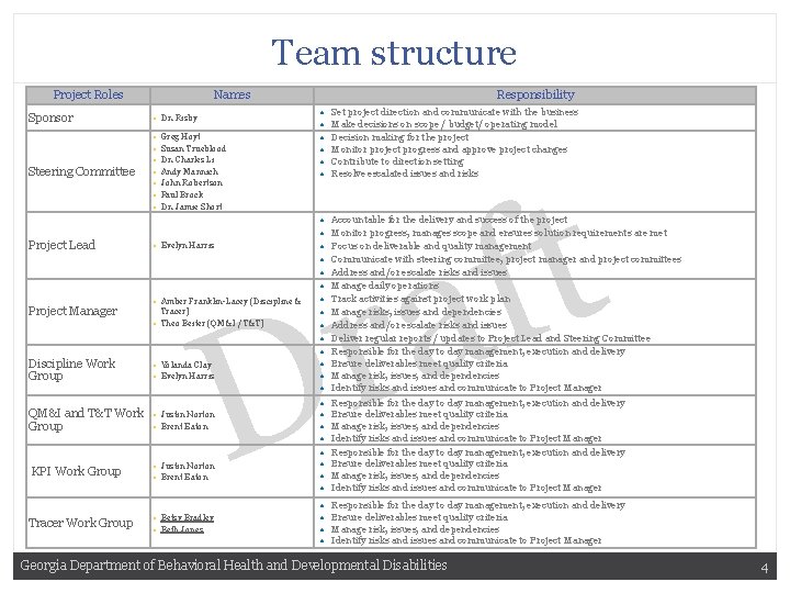Team structure Project Roles Names Sponsor • Dr. Risby Steering Committee • • Project