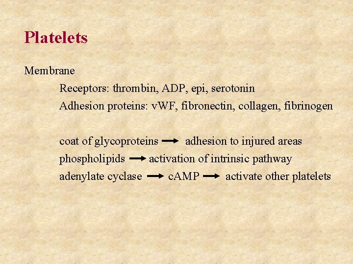 Platelets Membrane Receptors: thrombin, ADP, epi, serotonin Adhesion proteins: v. WF, fibronectin, collagen, fibrinogen