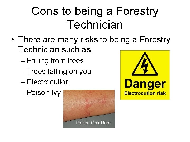 Cons to being a Forestry Technician • There are many risks to being a