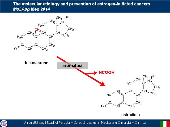 The molecular etiology and prevention of estrogen-initiated cancers Mol. Asp. Med 2014 testosterone aromatasi