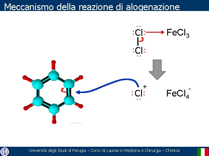 Meccanismo della reazione di alogenazione . . . Cl Fe. Cl 3 . .