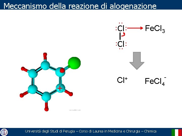 Meccanismo della reazione di alogenazione . . . Cl Fe. Cl 3 . .