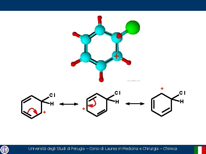 + + Cl Cl H H + + Università degli Studi di Perugia –