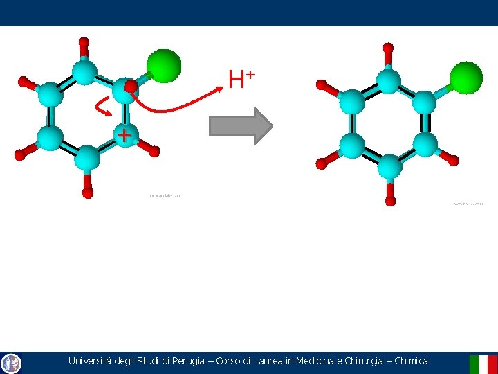 H+ + Università degli Studi di Perugia – Corso di Laurea in Medicina e